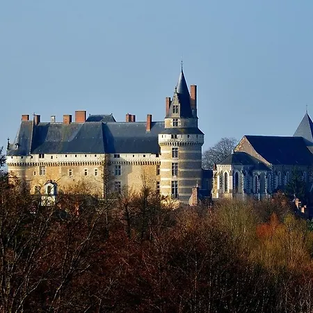 Château De Bed & Breakfast Durtal